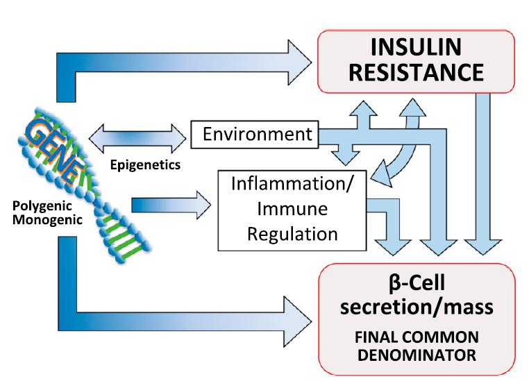 Epigenetic may influence IR, environmental triggers, immune