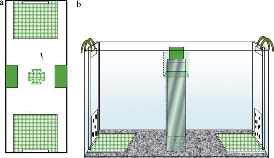 importantissimo modello in molte discipline... Agrillo et al.