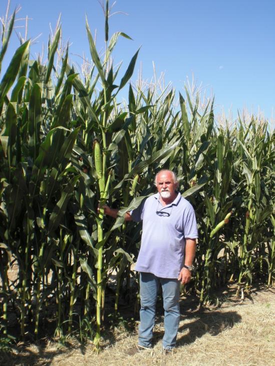 agricolo del territorio nel