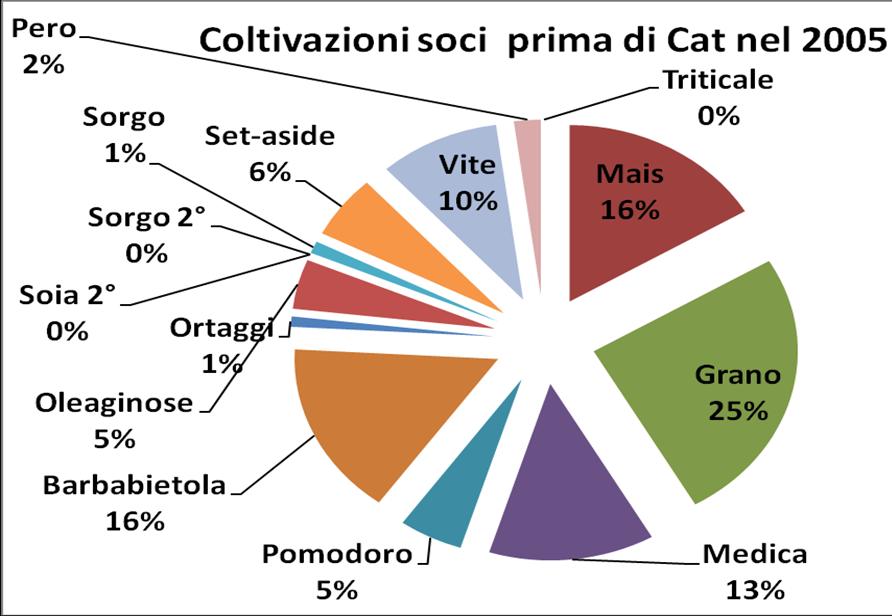 16 %