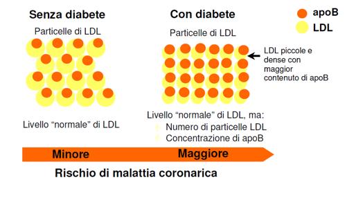 Assetto lipidico nel diabete mellito tipo 2 Ciò spiega perché il target di LDL deve