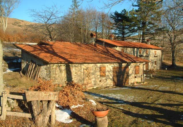 Superficie Scoperta di Pertinenza o di Affaccio Giardino o Parco Presenza di Vegetazione di pregio Orto Aia pavimentata Aia non pavimentata Piazza CLASSIFICAZIONE Edifici di assoluto valore