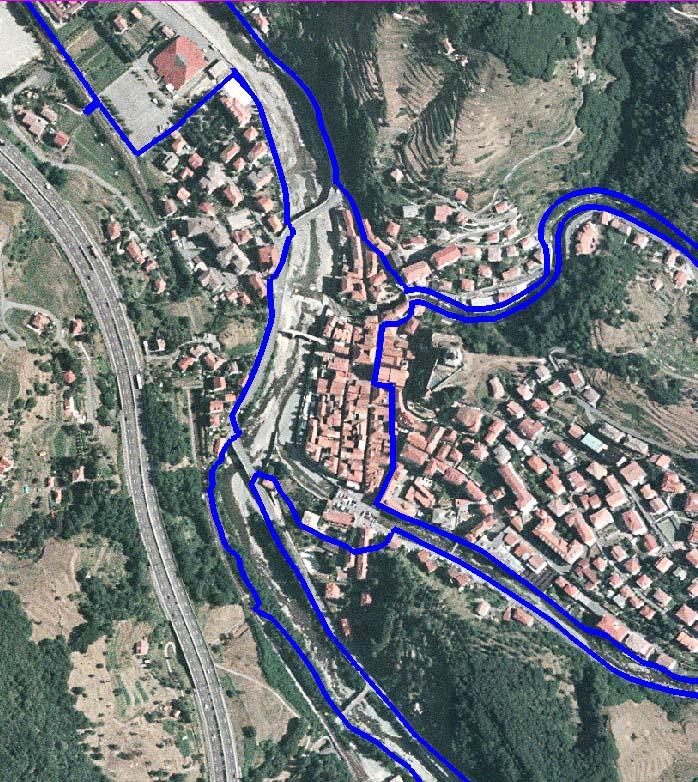 Ortofotocarta con indicati i campi di inondabilità,