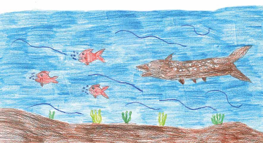 I TRE PESCIOLINI e il lupo di mare C erano una volta tre pesciolini rossi vivaci che vivevano in un fiume ed esploravano tutte le zone del fiume anche le più pericolose.