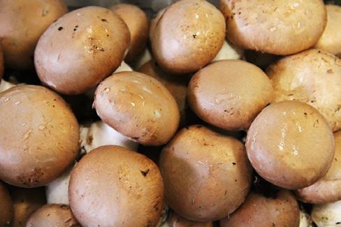 DEI FUNGHI COLTIVATI: CHAMPIGNON CREMA CAMPIONE (valori medi di tuz i campioni analizzad) Prodo\o Champignon crema (Agaricus bisporus) Data campionamento 15//15 Sostanza secca (%) 7, Acqua (%) 9, ph,