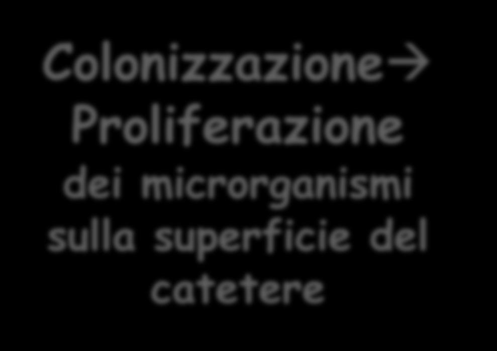 Colonizzazione Proliferazione