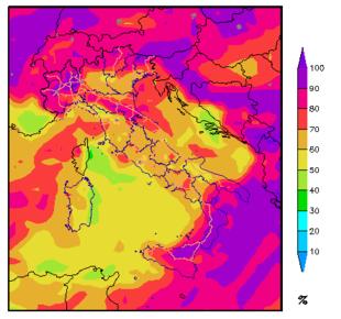 2.4 Umidità relativa a grande scala I dati