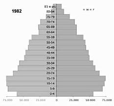 piramidi demografiche presentano graficamente la struttura della popolazione per