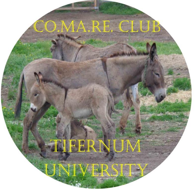 Co.Ma.Re.club Tifernum University Obiettivi: 1. cosa si intende per corretta funzione 2. quali strumenti si usano per evidenziarla 3. quali tecniche si utilizzano per raggiungerla 4.
