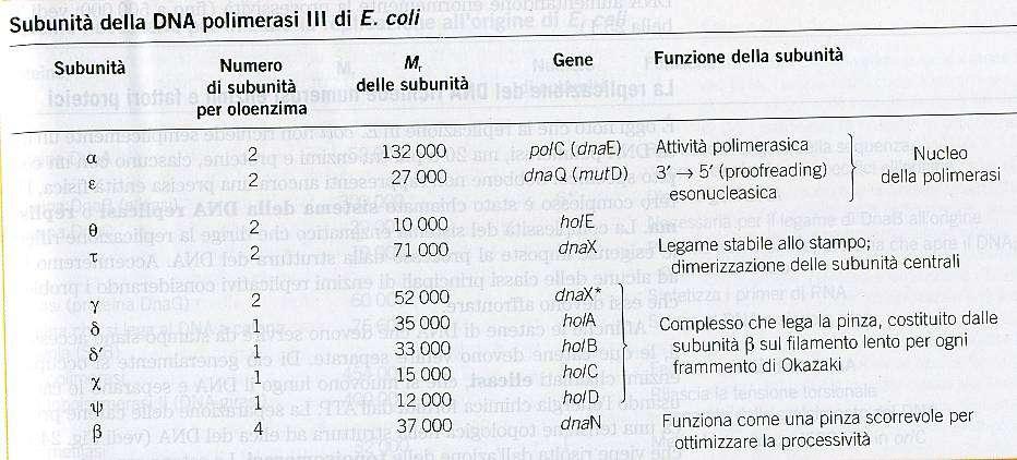 LA DNA