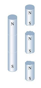 Nucleo 1 H Il protone si comporta