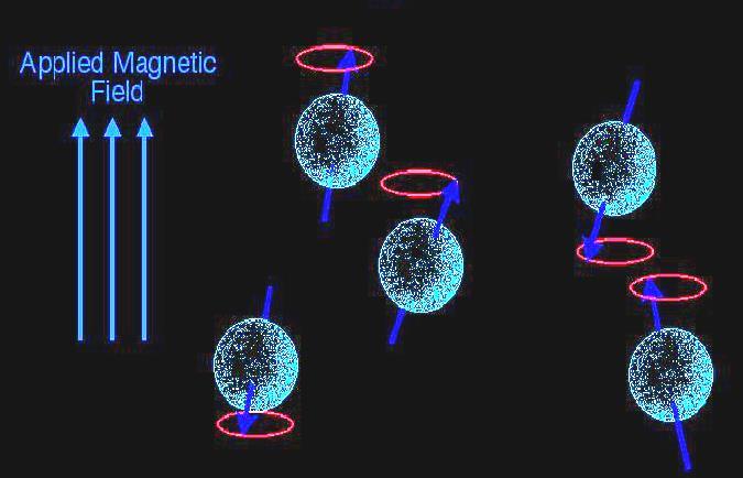 anti-parallelamente al campo magnetico esterno gli spin precedono con fase casuale