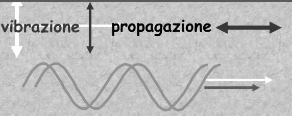 onda lungo una corda Longitudinali