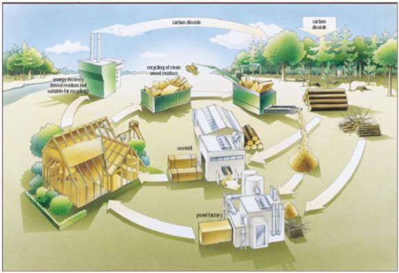 Panels are a vital component that can only be replaced by more expensive and less sustainable products Strategia forestale UE 2013: 2020.