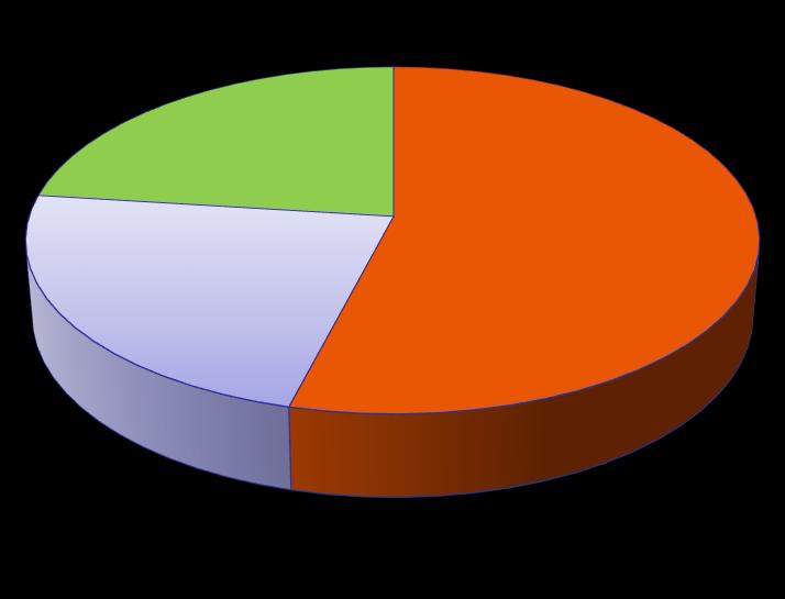 (Bio +frazione bio di RSU) 61% cogenerazione fossile