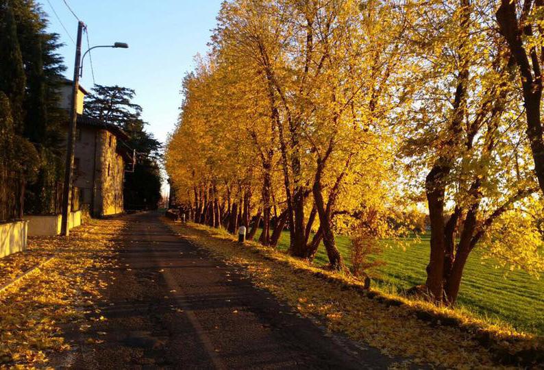 Autunno Via Tresolzio (Foto di: anonimo) 0 0 OTTOBRE s. Teresa di Gesù Bambino ss. Angeli Custodi - Festa dei nonni s. Gerardo s. Francesco d Assisi s. Placido s.