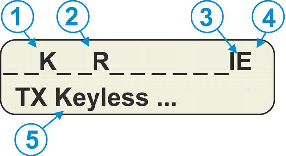 la periferica ha il blocco avviamento attivo (4) : E IndicIndica che il motore è in moto (5) : TX Keyless
