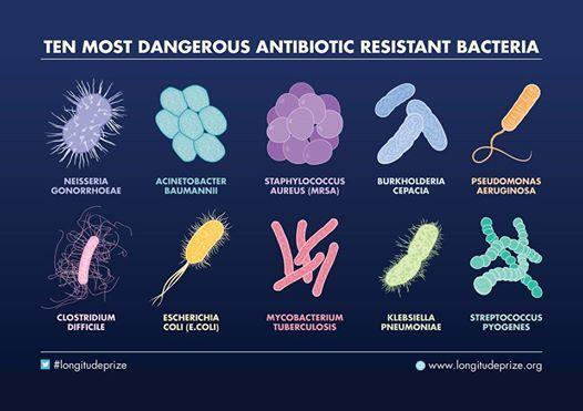 BATTERI E RESISTENZA ANTIBIOTICA Alcuni batteri resistono ad antibiotici e sopravvivono e si moltiplicano anche se vengono usati antibiotici e l