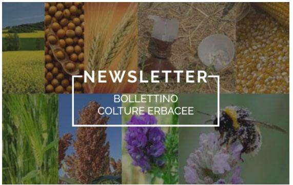 Bollettino colture erbacee Veneto Agricoltura in