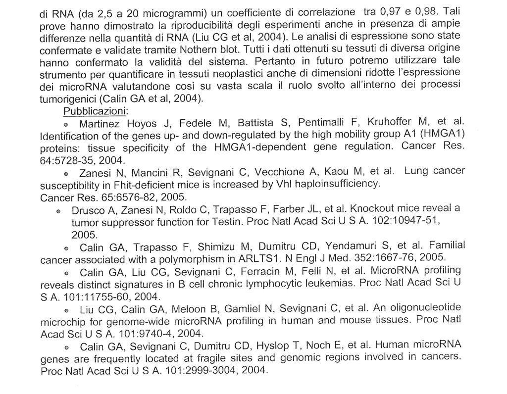 Camera dei Deputati 28