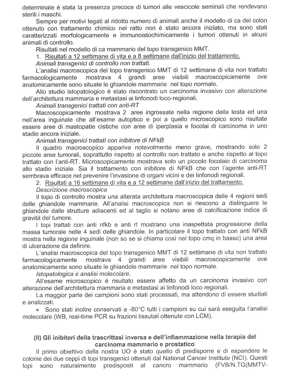 Camera dei Deputati 40