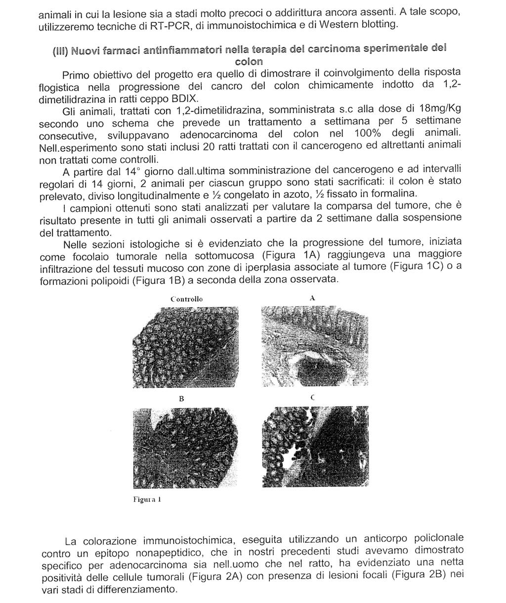 Camera dei Deputati 42