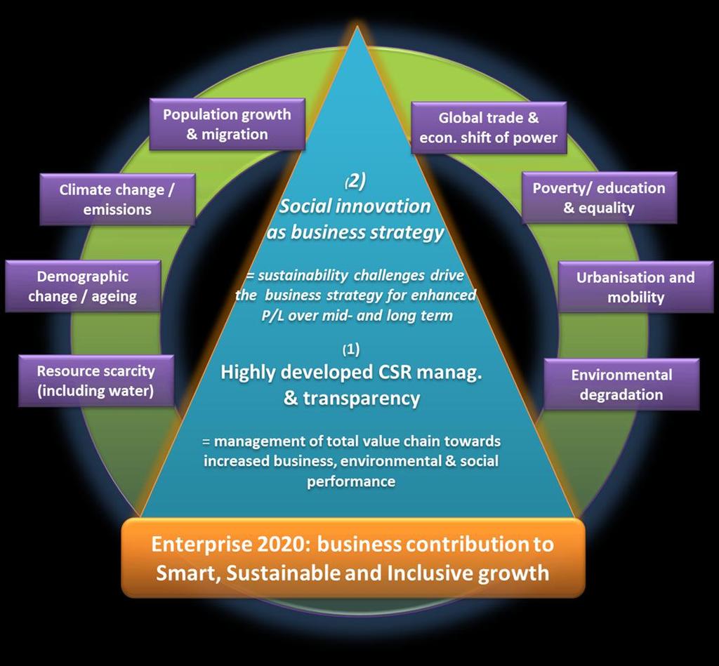 Il Modello di Enterprise 2020 L azienda ideale per favorire la transizione ad un economia sotenibile