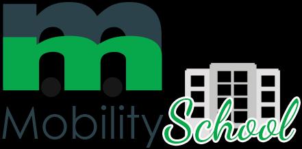 Software MobilitySchool Ogni MM scolastico avrà in dotazione un software specialistico di facile utilizzo che: invia un breve questionario online per raccogliere dati di