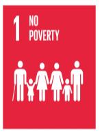 Obiettivi di Sviluppo Sostenibile ONU End poverty in all its forms
