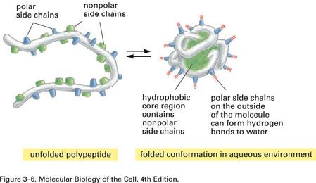 Legami di van der Waals Ragionamento utile per capire