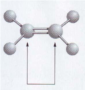Gli atomi riuniti da 2 o più legami covalenti non sono in grado di ruotare