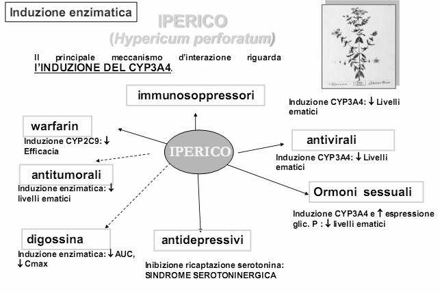 paracetamolo -alcool) effetti diversi a seconda attività metaboliti: 1. meno attivo del composto di origine: riduzione degli effetti terapeutici 2.