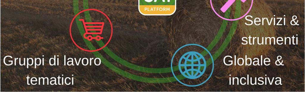 introduzione di pratiche agricole sostenibili. SAI Platform è un'organizzazione senza fini di lucro.