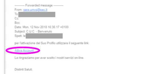 A questo punto, la piattaforma invierà automaticamente, all indirizzo email indicato in fase di registrazione, una email contenente un link di verifica.