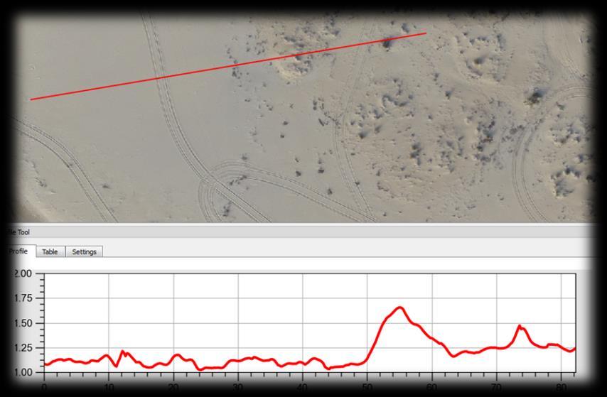 digitale del terreno: il DSM a celle di 25 cm permette di