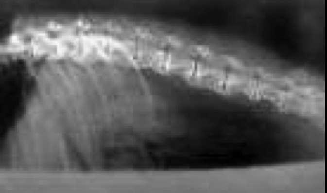 ) Rarefazione del pelo con pelle ipercheratosica Operato in passato per un sertolioma Rx LL evidenzia