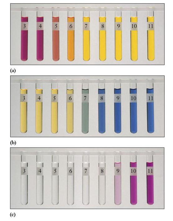 Variazioni di colore per alcuni indicatori: