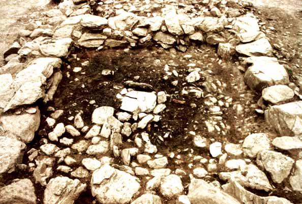 5 Il rituale funerario nell età del Ferro Un grande recinto rettangolare circondava il tumulo della tomba 3/94: la presenza di terra di rogo è indicata dal terreno più scuro, mentre le grosse pietre