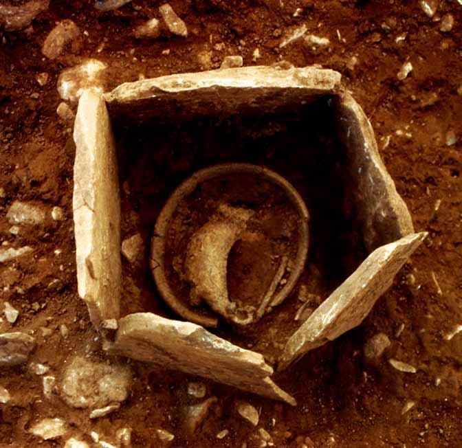 Nella tomba a cassetta 1/94 la grossa fibula in bronzo era stata deposta al di sopra dei resti ossei.