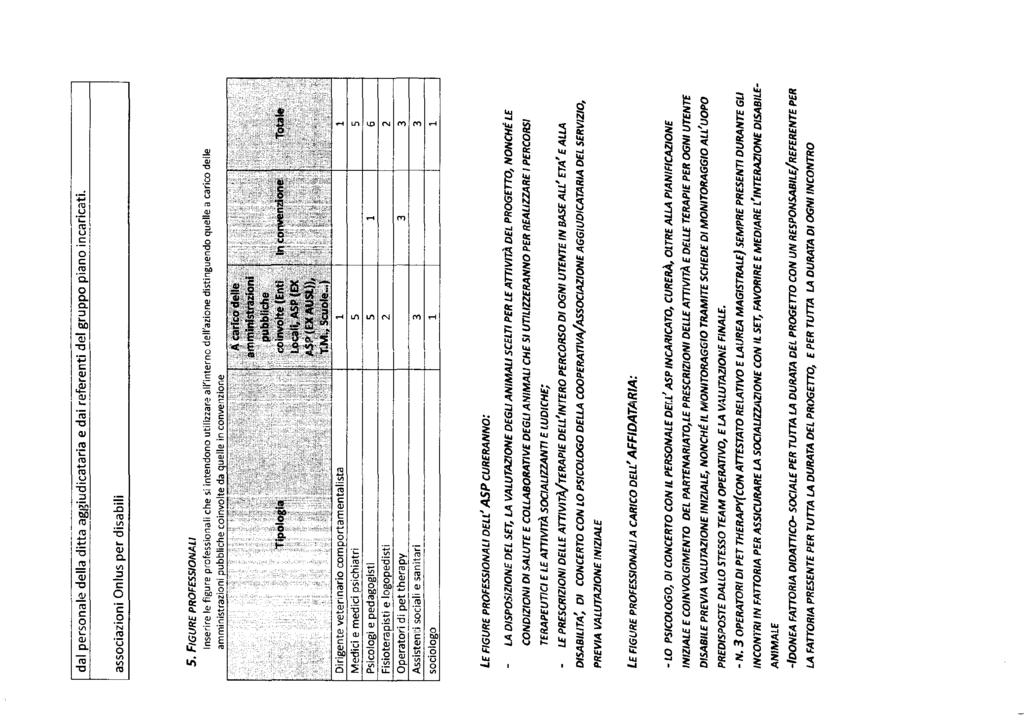 dal personale della ditta aggiudicatala e dai referenti del gruppo piano incaricati. associazioni Onlus per disabili 5.