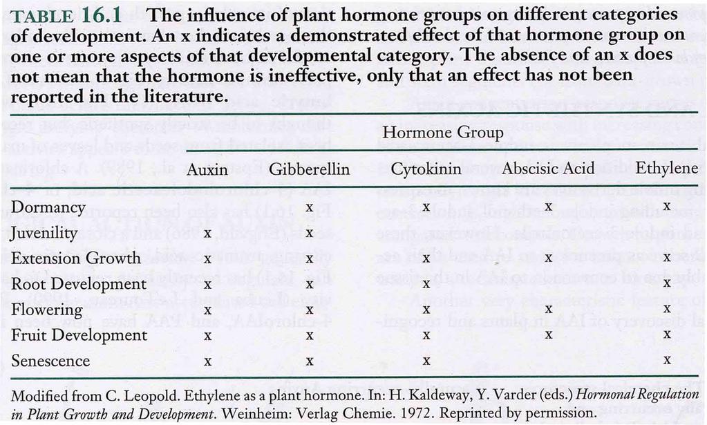 CLASSI PRINCIPALI AUXINE GIBBERELLINE CITOCHININE ETILENE ACIDO ABSCISSICO BRASSINOSTEROIDI ALTRE SOSTANZE SEGNALE ACIDO JASMONICO ACIDO SALICILICO SISTEMINA POLIAMMINE il sito