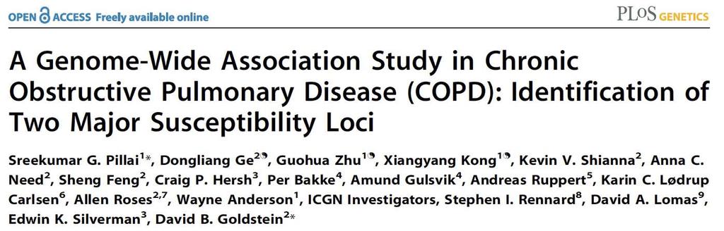 The C allele of the rs8034191 SNP was estimated to have a population attributable risk for COPD of 12.