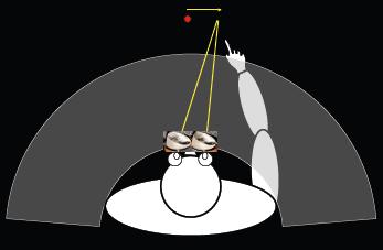 mesi) e generalizzazione alle varie forme di negligenza PRE-ESPOSIZIONE CON I PRISMI ADATTAMENTO AFTER-EFFECT