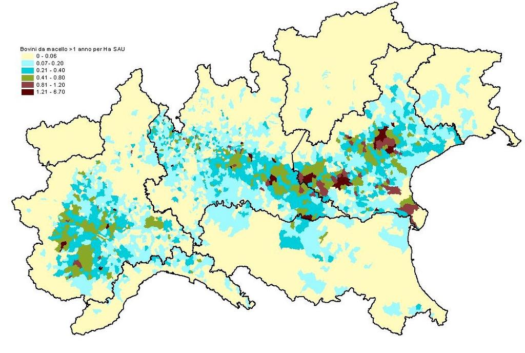 Il sistema produttivo italiano: distribuzione dei bovini da macello (>1 anno) n. % Veneto 300.006 32 Lombardia 189.