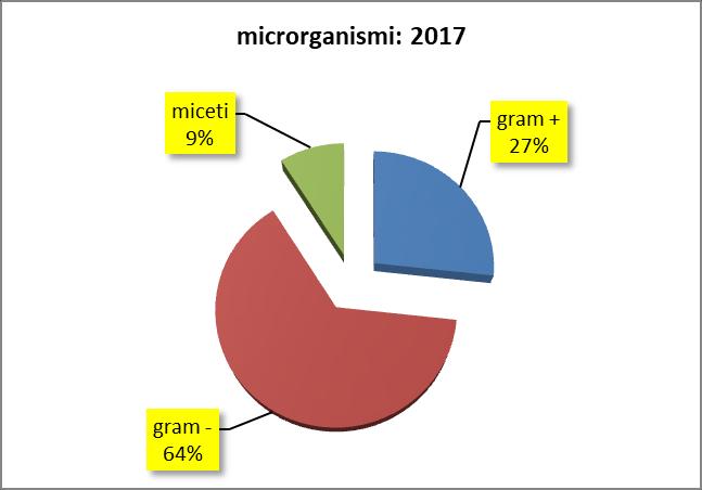 Pagina 12 di 39 Flora microbica ospedaliera: anno 2017 7 Nel 2017 si osserva la seguente ripartizione delle specie microbiche implicate nei principali episodi infettivi (vedi anche grafico a