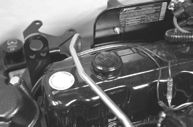 Sezione 5 - Mnutenzione NOTA: instllre l'stin di livello in modo che i contrssegni di livello dell'olio sino rivolti verso il lto posteriore del motore (estremità volno).