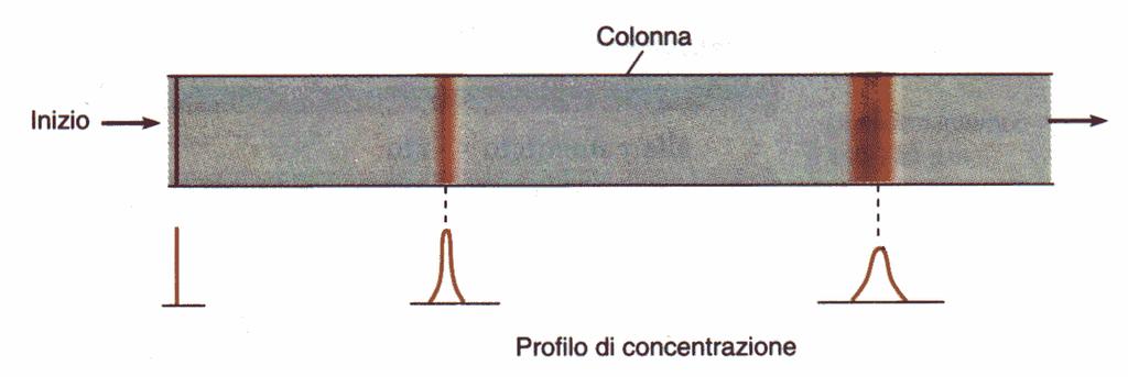 Efficienza È la capacità del sistema cromatografico di eluire gli analiti come bande strette.