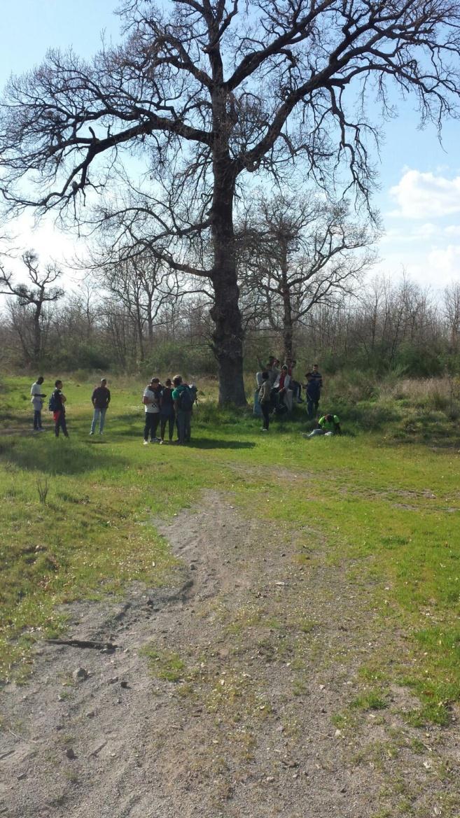 Le passeggiate La seconda passeggiata, un percorso più lungo e difficile di 8,7 km, è partita