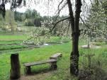 L'allevamento della trota nel Trentino vanta, ormai, una tradizione secolare.