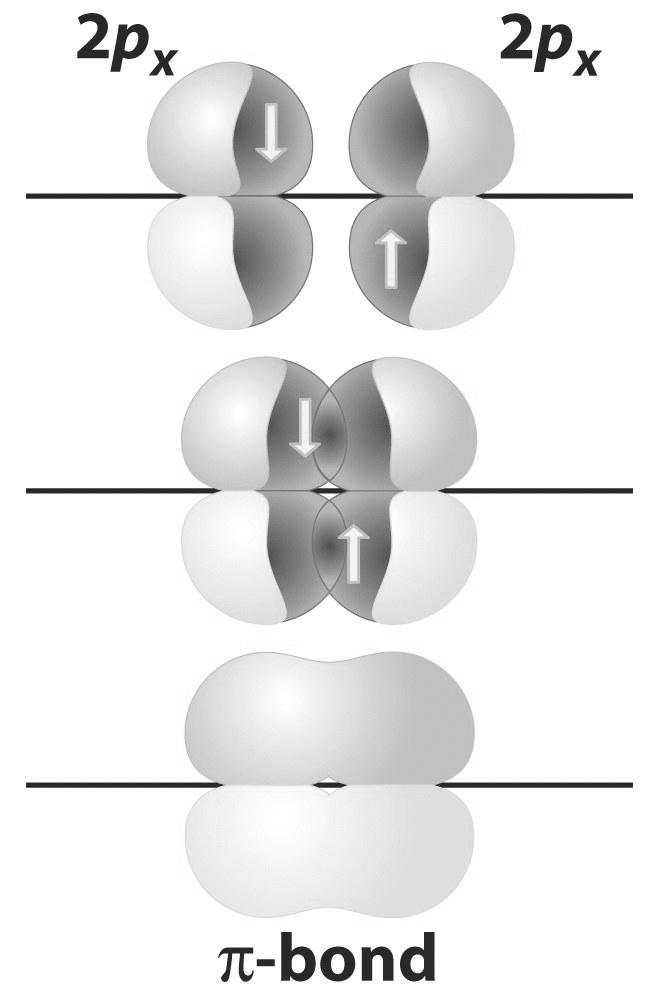 formando un legame di tipo σ.